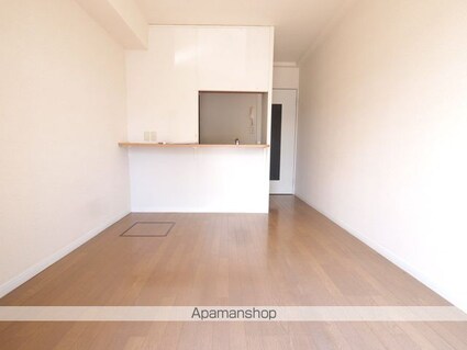 レオパレスルミエール高出[2DK/49.68m2]の内装4