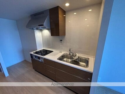 トラープランド蒼麗館[2LDK/56.5m2]のキッチン