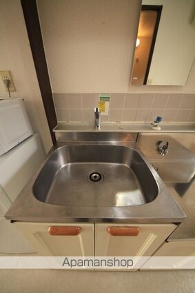 パームツリー[1R/17.95m2]の洗面所