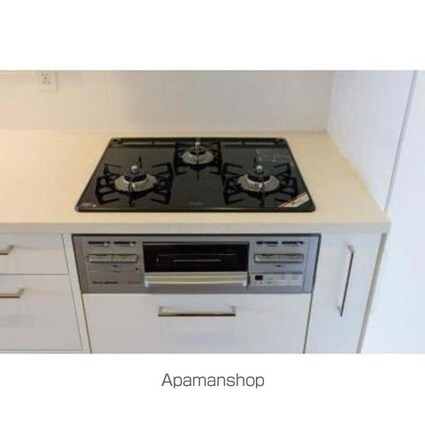 パークコート千代田富士見ザタワー[1LDK/42.51m2]のその他内装1