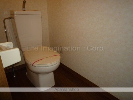 カルフールⅥ[2LDK/54m2]のトイレ