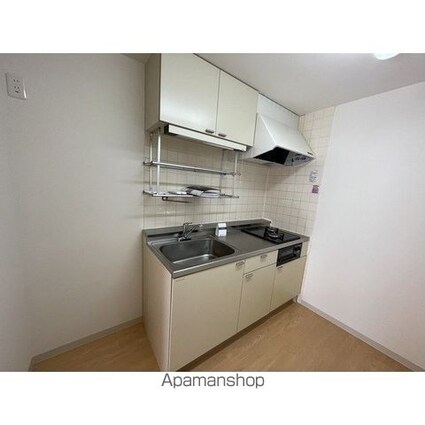 ヒルズ三栄町[1LDK/48.28m2]のキッチン