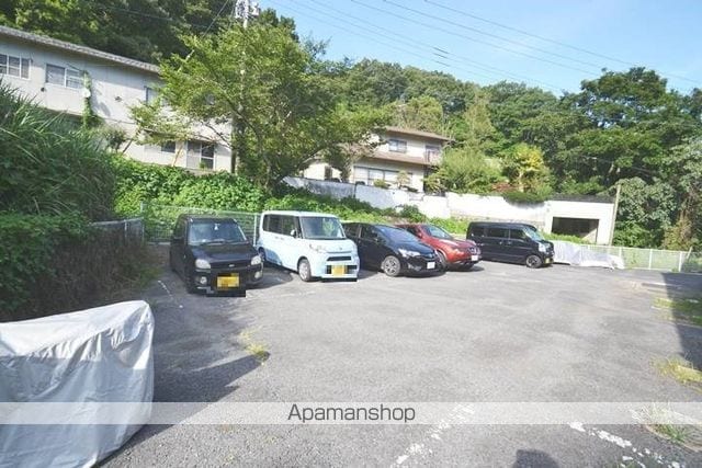 ハミングバードのその他写真