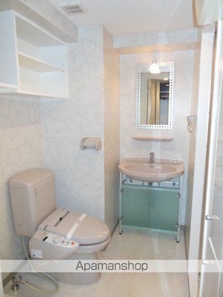 東京都新宿区西新宿５丁目[1K/22.47m2]の洗面所