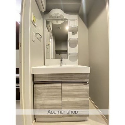 アルファコート下赤塚[1LDK/41.39m2]の洗面所