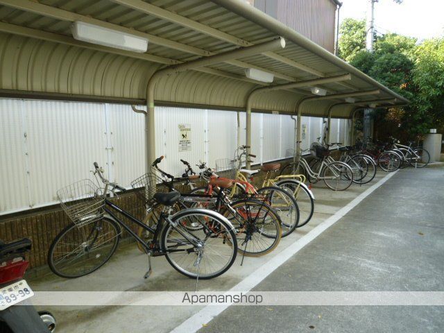 セントーレアのその他写真