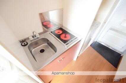 レオパレスラ　プランタン　Ⅱ[1K/19.87m2]のキッチン