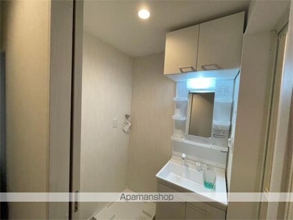 Ｇｒｅｅｎ　Ｔｉｅｓ　石神井台[1DK/35.6m2]の洗面所