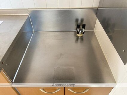 グリーンダイヤ村瀬　Ｂ棟[2DK/48.46m2]の内装3