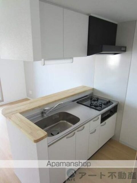 ＭＡＹＦＡＩＲ　ＳＴＡＴＩＯＮ　ＦＲＯＮＴ　ＰＲＥＭＩＵＭ[1LDK/31.04m2]のキッチン