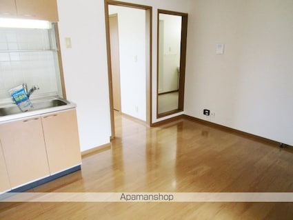 山梨県甲斐市大下条[2DK/44.34m2]の内装4