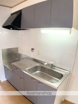 シェソワポプリ[2DK/49.06m2]のキッチン