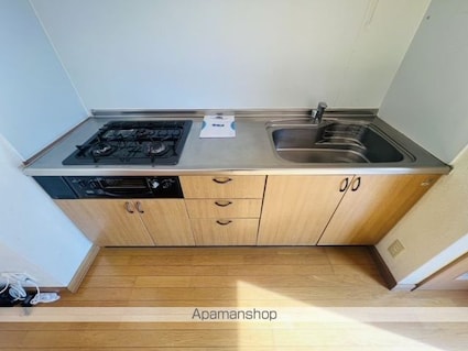 第３緑ハイツ（ダイサンミドリハイツ）[2LDK/50.81m2]のキッチン