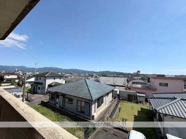 Y&Mデイジーのその他写真