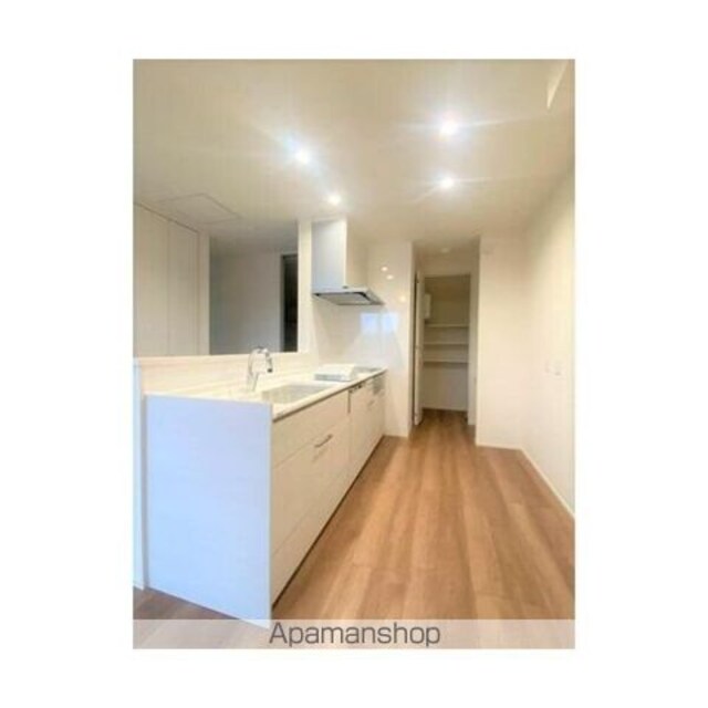 練馬区南田中３丁目戸建Ｂ棟[3LDK/77m2]のキッチン