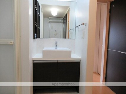 プリモフィオーレ[1LDK/43.26m2]の洗面所