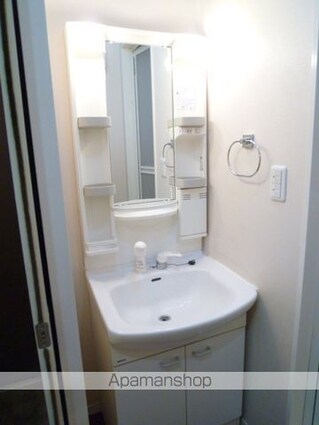 東京都日野市大字日野[1K/22.11m2]の洗面所