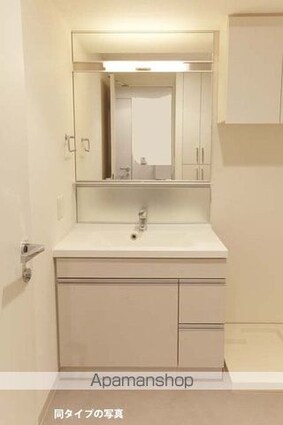 コンフォリア東池袋ＷＥＳＴ[1LDK/42.13m2]の洗面所2