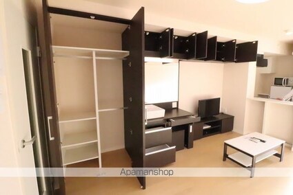 レオネクストミント[1R/33.7m2]の収納