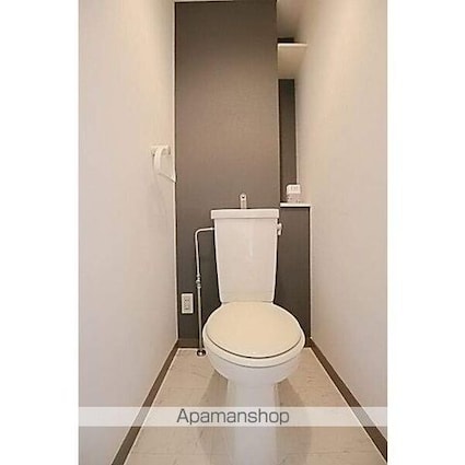 Ｙｏｕｎｇ　Ｖｉｌｌａｇｅ２[1K/22.46m2]のトイレ