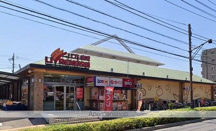 レオネクストレセーナ[1K/21.24m2]の周辺7