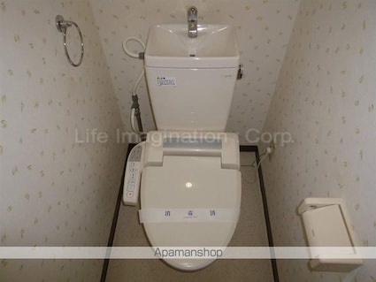 グリーンビュー[2DK/45.72m2]のトイレ