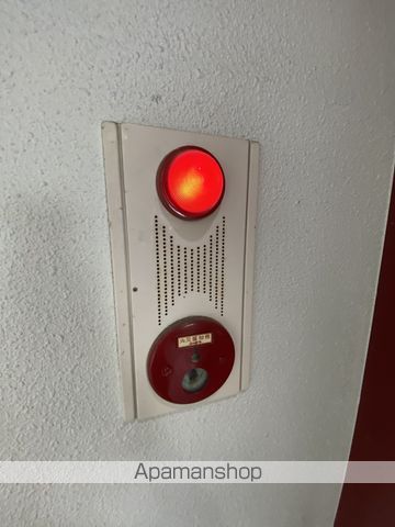 パピリオのその他写真