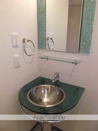 シャローグラス[1LDK/39.19m2]の洗面所