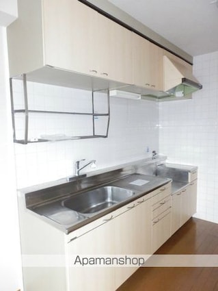 コーポ・リバーサイド[2LDK/55.93m2]のキッチン