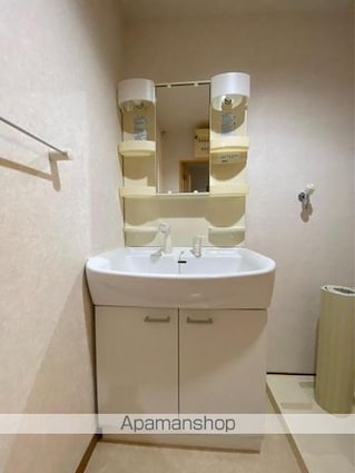 香川県高松市三谷町[2LDK/52.17m2]の洗面所