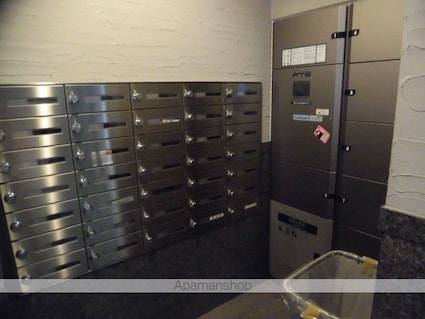 日神デュオステージ本所吾妻橋[1DK/40.07m2]の共用部6