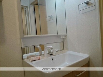 ピエール　ブランシュⅡ[1LDK/41.97m2]の洗面所