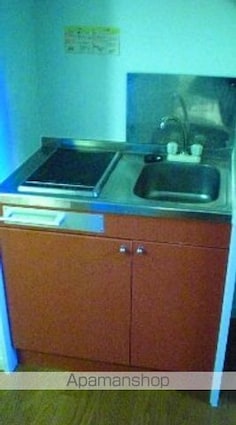 レオパレスデ・ルシア[1K/20.28m2]のキッチン