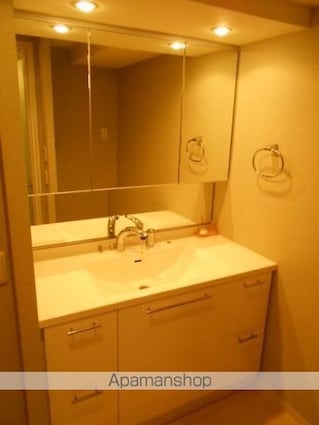 東京都立川市曙町１丁目[2LDK/55.83m2]の洗面所