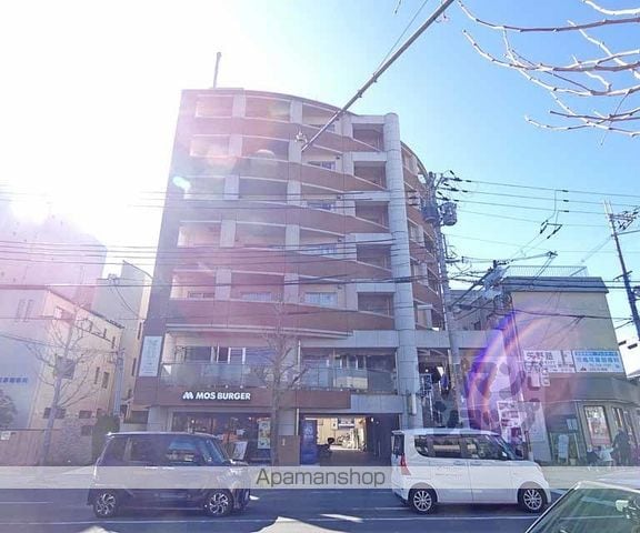 GATO D.M北山