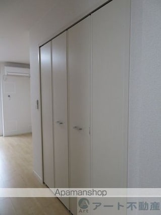 セント・クロノス[1R/34.15m2]の収納
