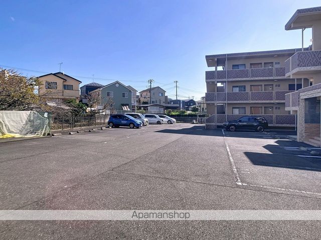 アルストロメリアのその他写真