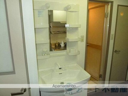 竹乃井第２ビル[1K/28.9m2]の洗面所