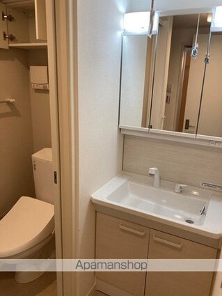 Ｌａ　ｖｉｔａ　ｒｉｃｃａ[1LDK/29.54m2]の洗面所