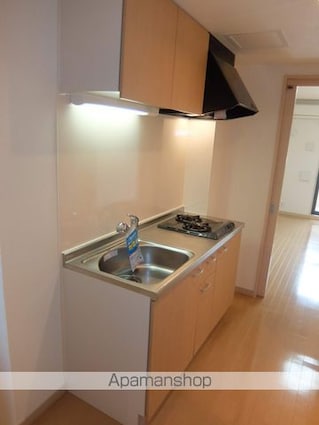 ヴァン　ヴェール[1K/29.38m2]のキッチン