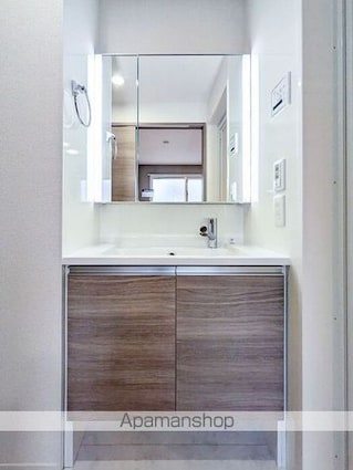 セレスティア大谷田ＩＩ[1LDK/40.94m2]の洗面所