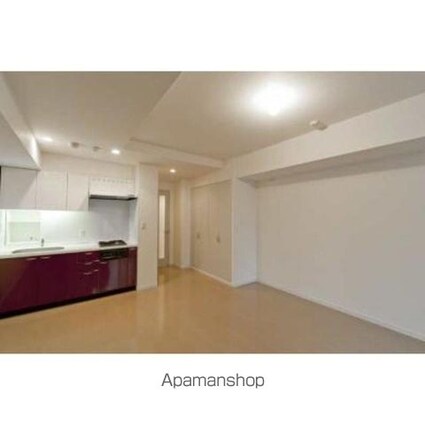 パークアクシス日本橋ステージ[1R/41.9m2]のその他内装2