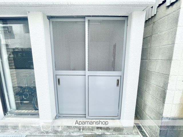 セントポーリアのその他写真