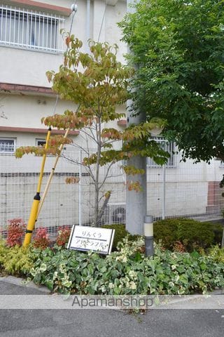 りんくうアドミラブルのその他写真