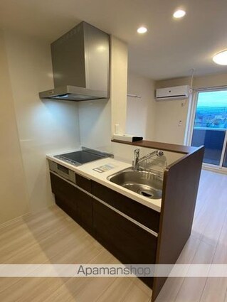 ロータスⅡ　Ｂ棟[1LDK/43.41m2]のキッチン