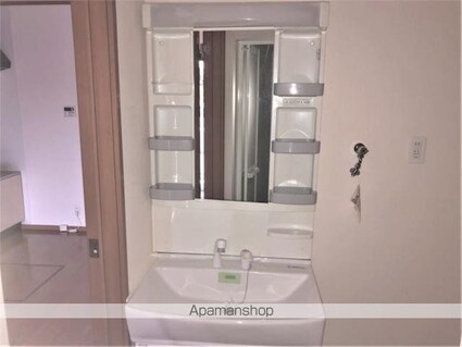 Ｃｏｌｌｉｎａ　ＩＩ[2LDK/54.53m2]の洗面所