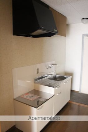ダイヤコート新浜Ⅱ[1K/24.11m2]のキッチン