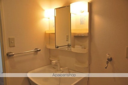 アップルリング[2DK/43.14m2]の洗面所