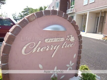 Ｃｈｅｒｒｙ　ｔｒｅｅ[1LDK/45.81m2]のエントランス1