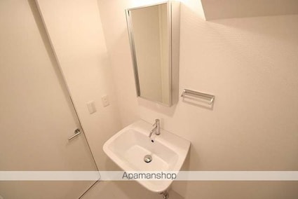 カラスヤマテラスＥＷ[1R/22.25m2]の洗面所